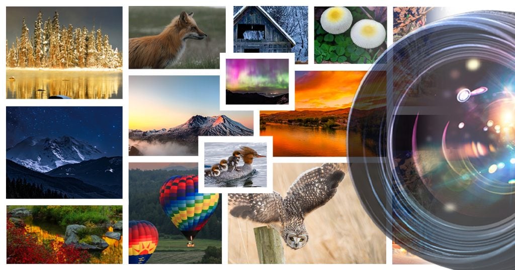Submit Your Shot - 2026 PNW Photo Calendar Contest!